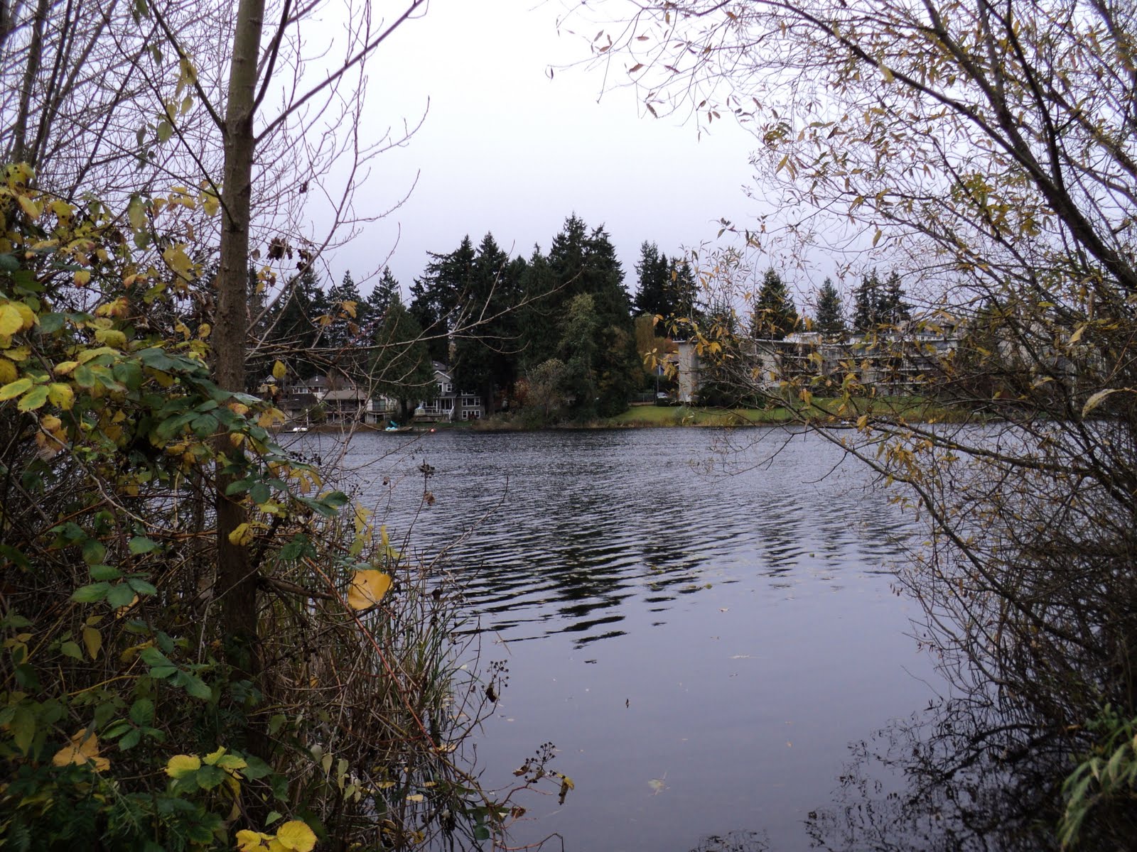 Walking Seattle Neighborhoods North of Bitter Lake