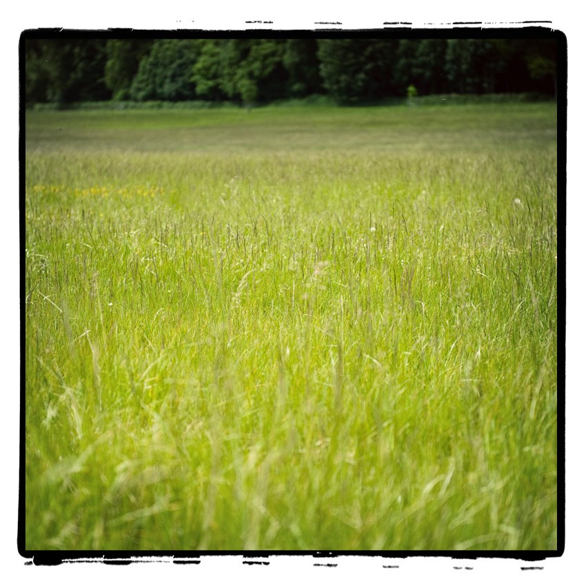 [FC-Pre+wed009.jpg]