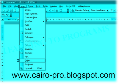 write a fraction in Microsoft Office Word