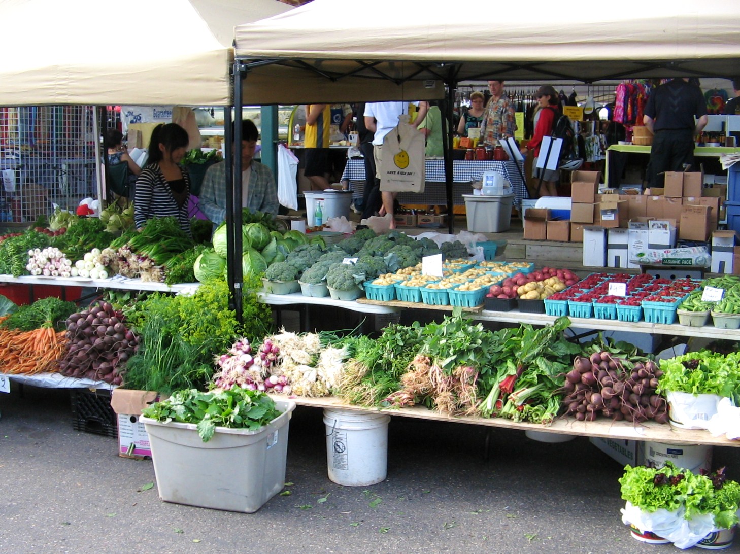 Arctic Garden Studio Minneapolis Farmers Market