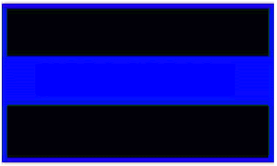New Blog 1: Thin Blue Line