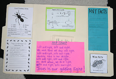 Ants ~ Lapbook - 1+1+1=1