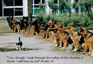 latest bible Verse Psalm 23 with dogs and duck sexy photo