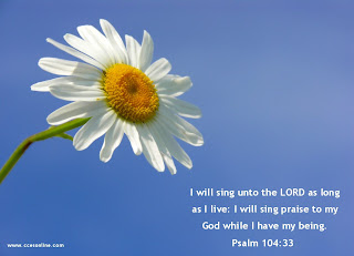 Free desktop sky nature background with white sunflower and Psalm 104 33 verse as I will sing unto the LORD as long as I live, I will sing praise to my God while I have my being picture