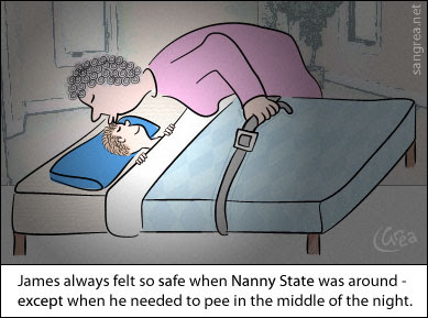 polit_nanny-state.jpg