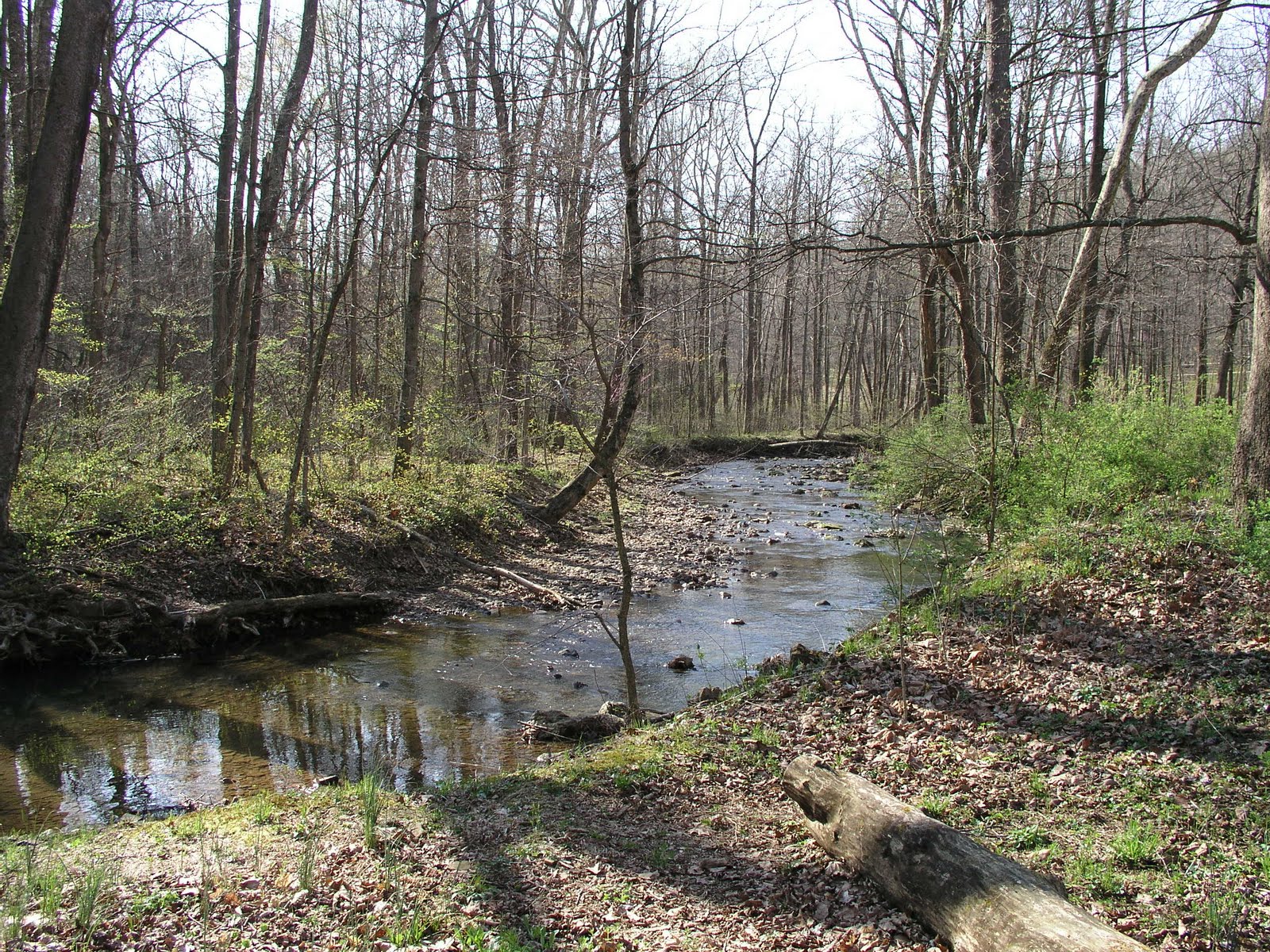 TC Sees America Ohio/Pike Lake State Park