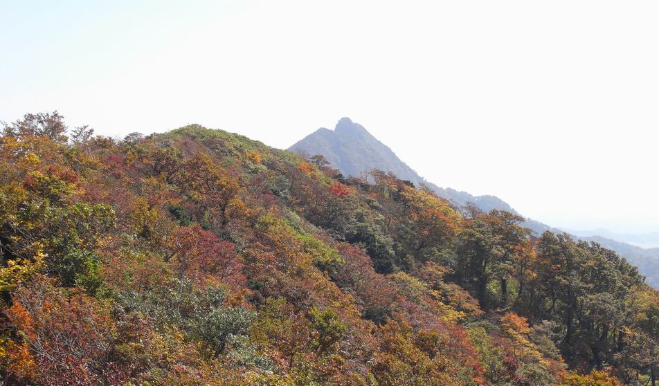 [大山081018+040.jpg]