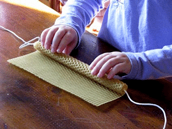 Hands rolling beeswax into candles