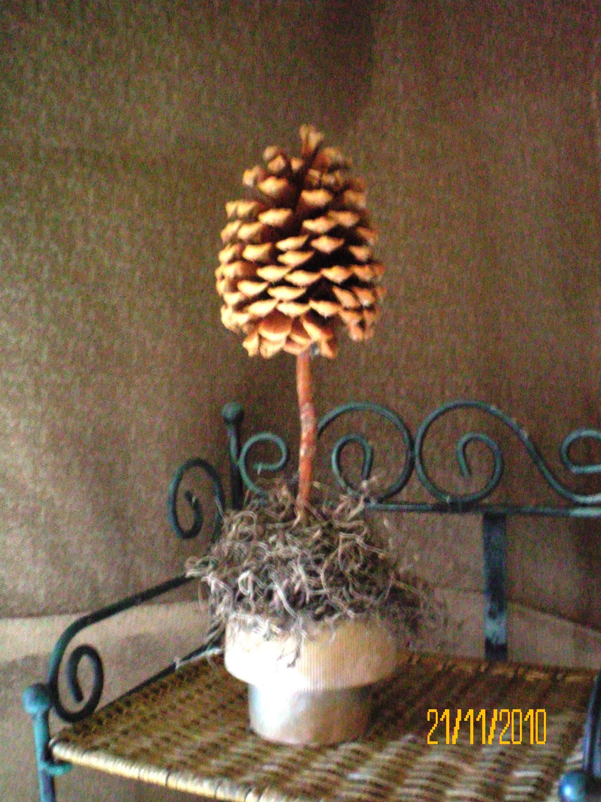 Southwest Cottage Designs Pine Cone Topiaries
