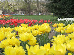 "Tip-Toe Through the Tulips"