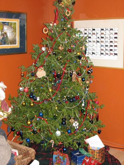 [blog---Christmas-Tree-2.jpg]