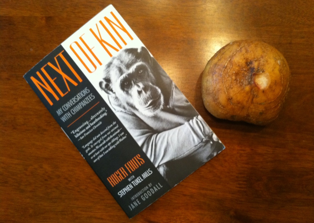 Jicama Brown Spots Inside I have lots of brown spots inside my lower