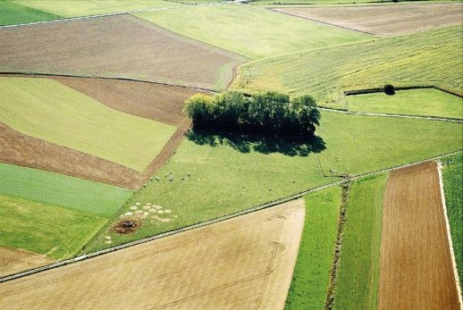 [2006083100_rural-tm.jpg]