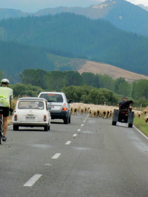 New Zealand Traffic Jam