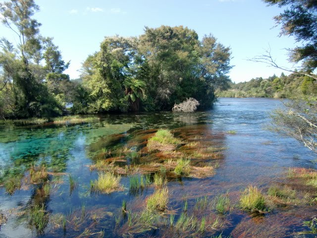 Pupu Springs