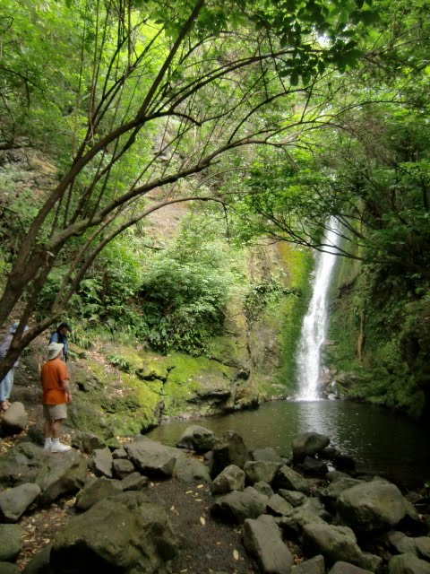 Coastal waterfall