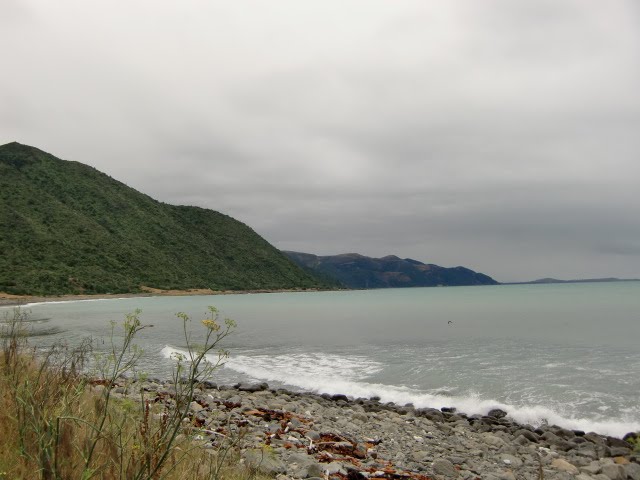 Kaikora Coastline