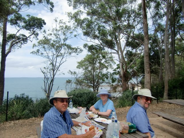 First Aussie Picnic