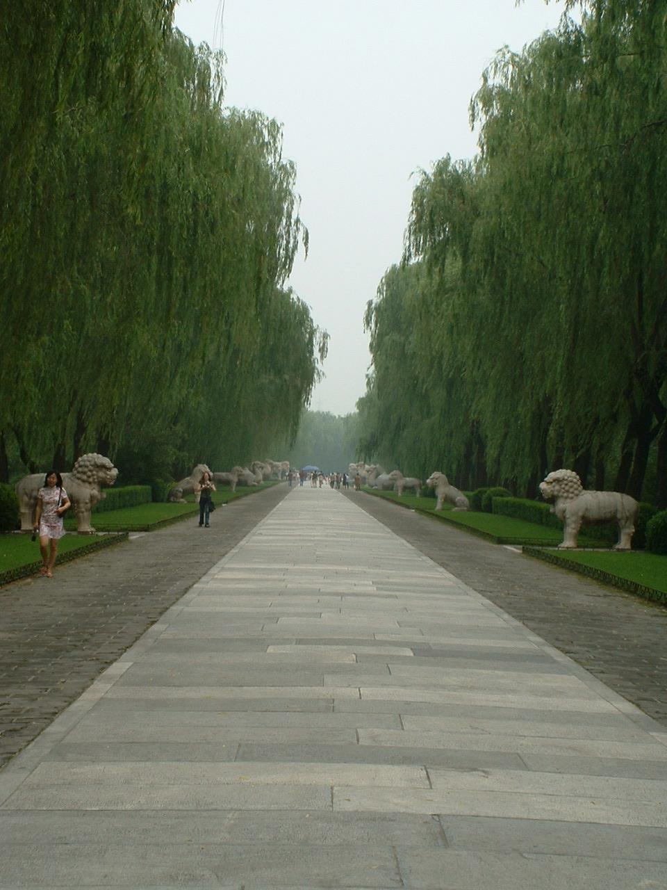 [182700933IANPsR_fs.jpg]