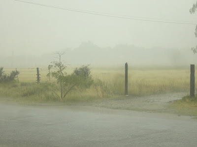 La lluvia en Puan ya totaliza 105mm
