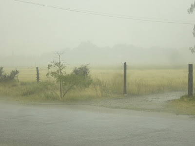 Registro de precipitaciones