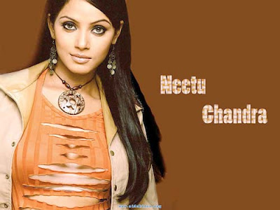 Neetu Chandra Wiki