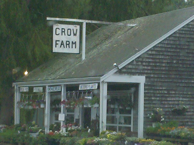 Crow Farm