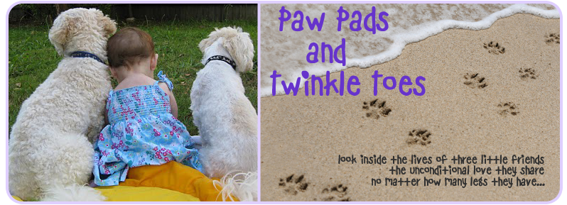 Paw Pads & Twinkle Toes