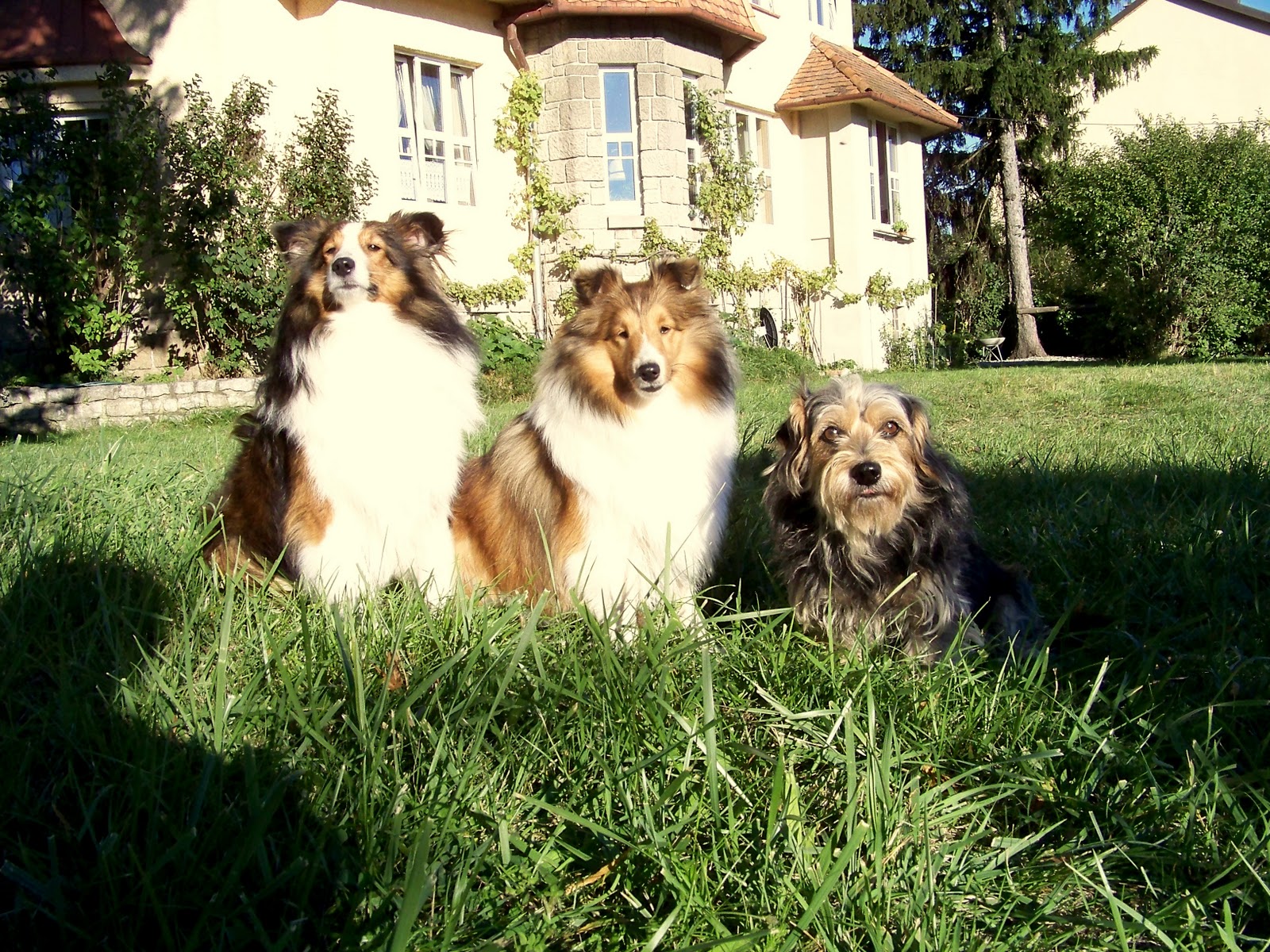 After Csection Pain Under Belly Button