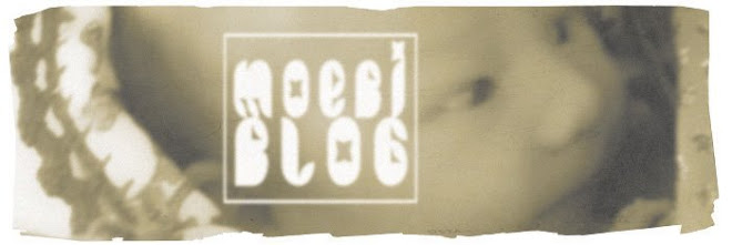 Moebi Blog
