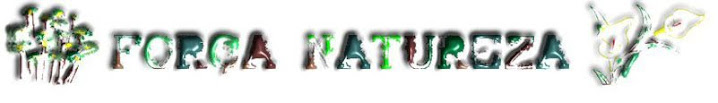Força Natureza