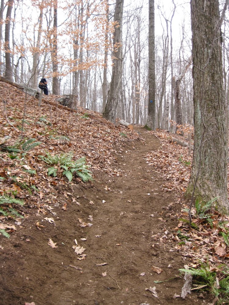 New England Mountain Bike Association, Central CT Chapter TM Report Trout Brook Valley
