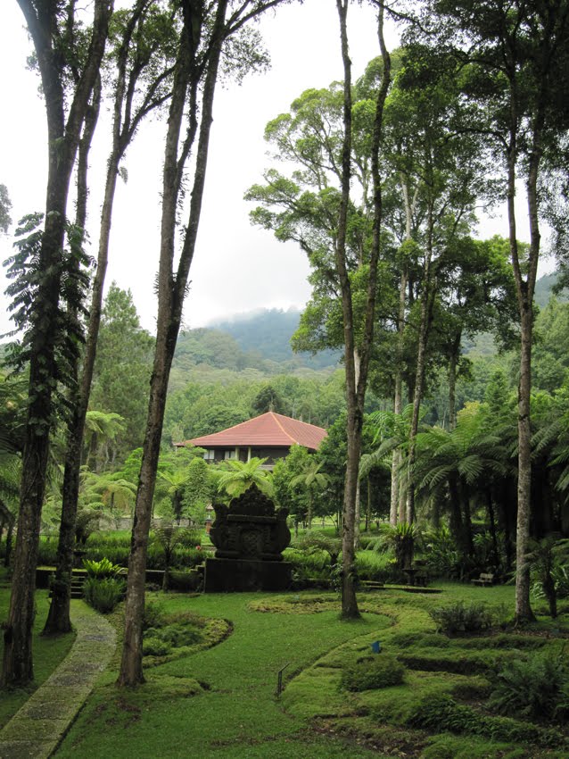 paradis express Botanical garden of Bali