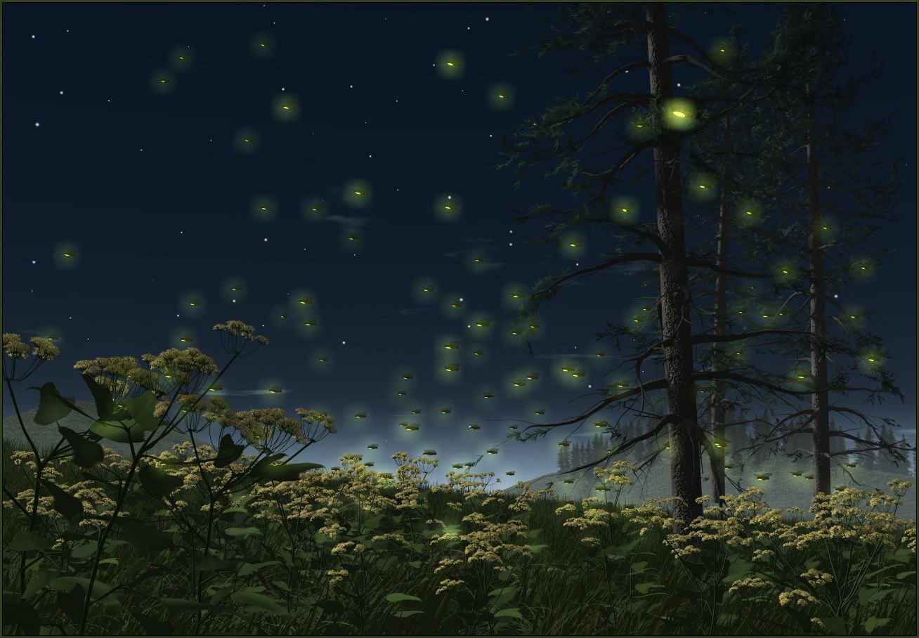 http://2.bp.blogspot.com/_pkUFRs9vaXA/TBIrxVNIIpI/AAAAAAAAwhM/NAVgI1tjkn4/s1600/Fireflies.jpg