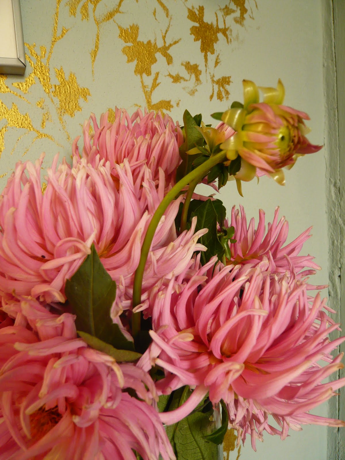 paradis express Le Dahlia de Dana