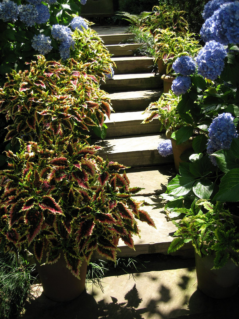 paradis express: Jim Scott Garden