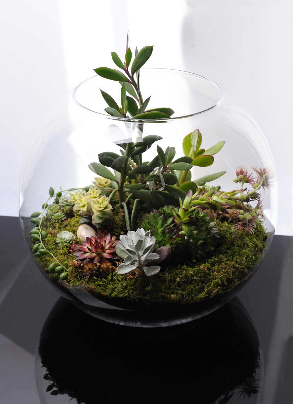 Home Decoration Base Nature Novembre Home Decoration Base Nature Novembre