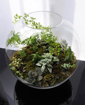 Home Decoration Base Nature Novembre Home Decoration Base Nature Novembre