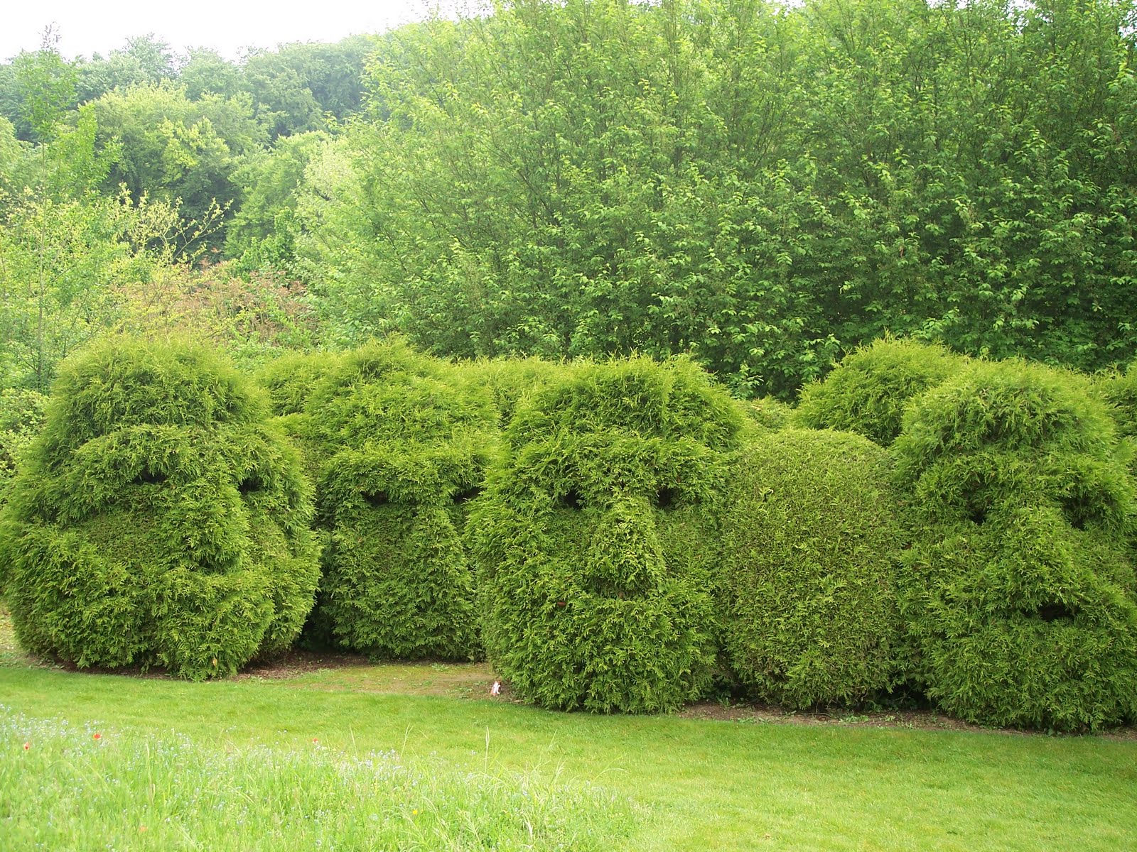 paradis express: Parcs et jardins de l'Oise