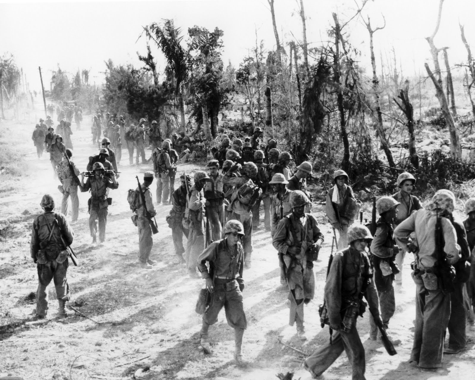 Pacific War Post: Peleliu
