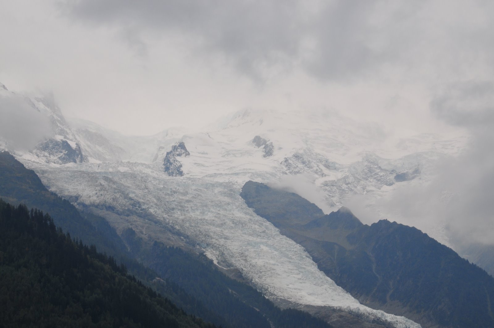 [DSC_2393.JPG]