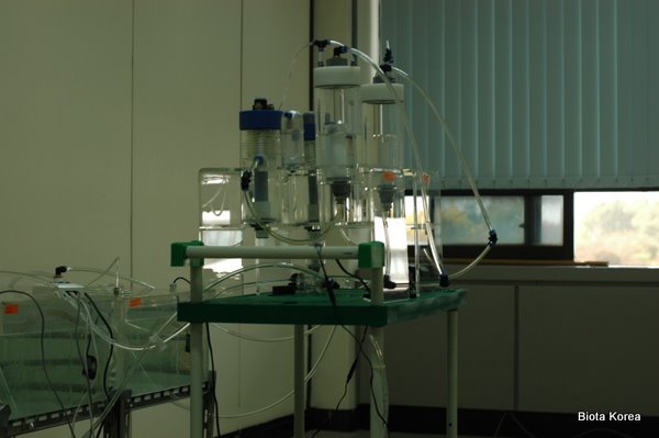 Les poissons pCO2의 측정