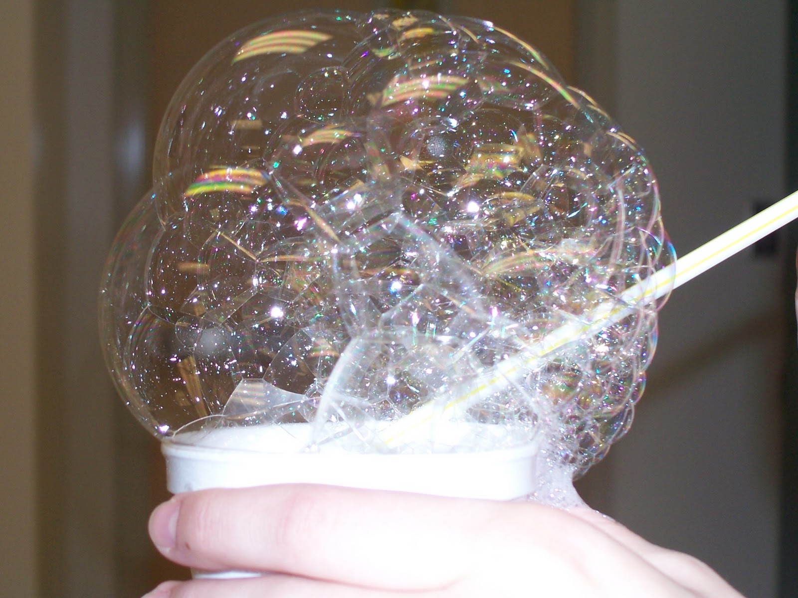 The Awesome Students The Bubble Lab