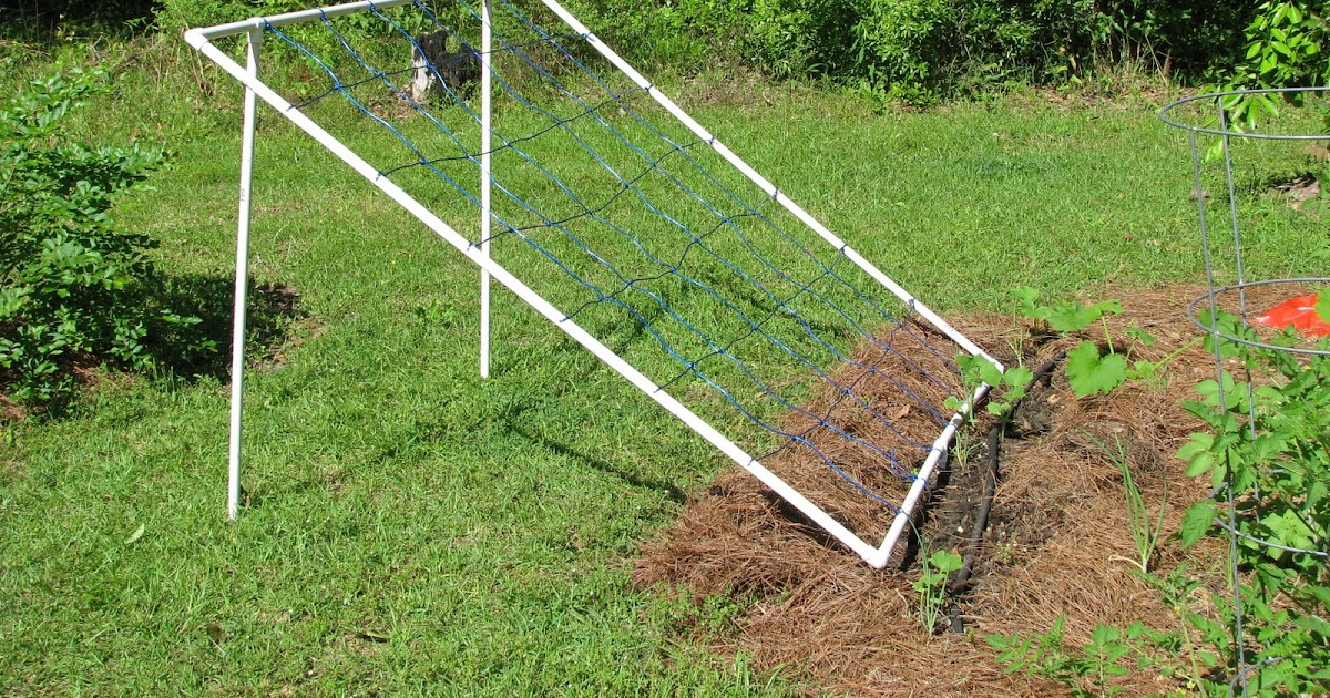 шпалера для помидор в теплице. ограждение для гороха. пластиковые трубы для огурцов. опора для огурцов из пластиковых труб. опора под огурцы стеклопластиковая 2х2 м.