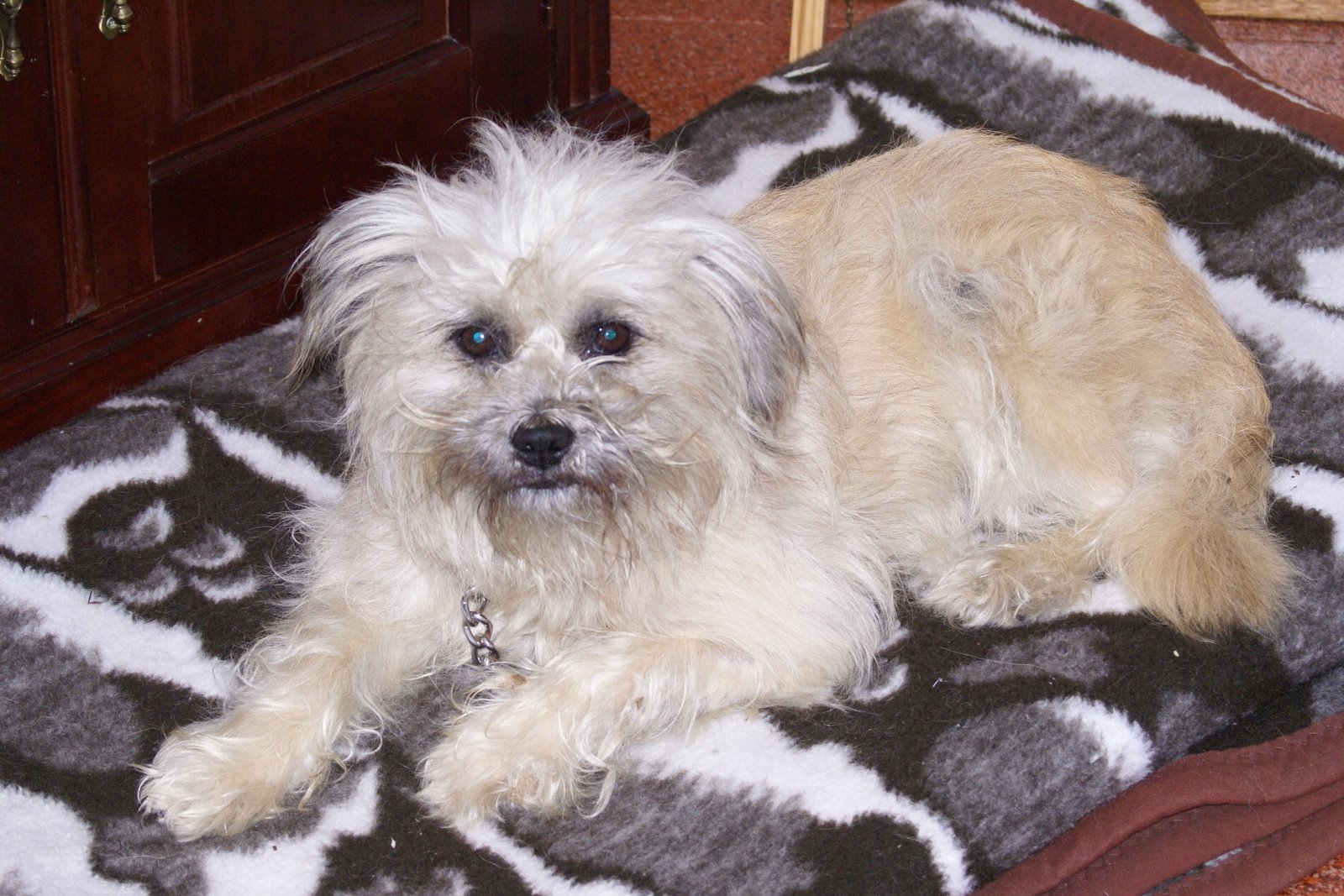 [21+dezembro+2008+182.jpg]