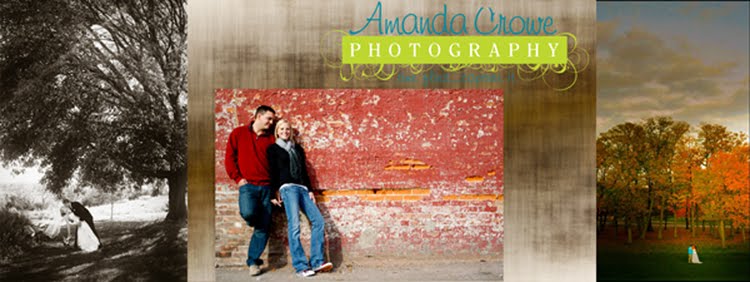 Amanda Crowe Photography