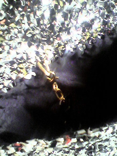 [Bolsa+Café+forro.jpg]