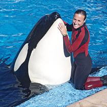 Free Willy 4 Free Willy 4
