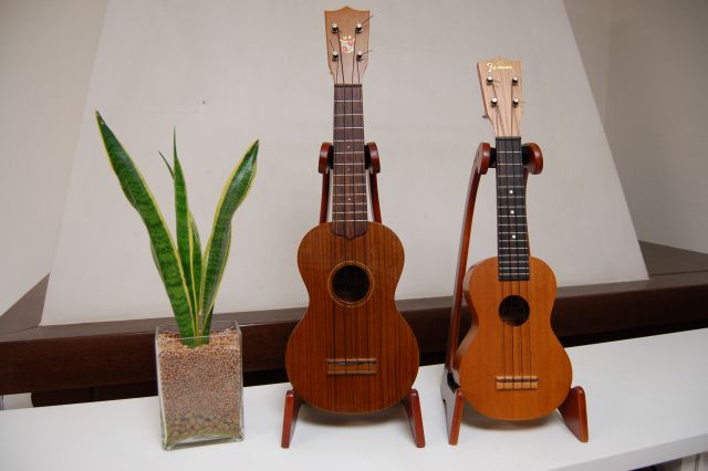 [comparison+with+a+soprano+ukulele.jpg]