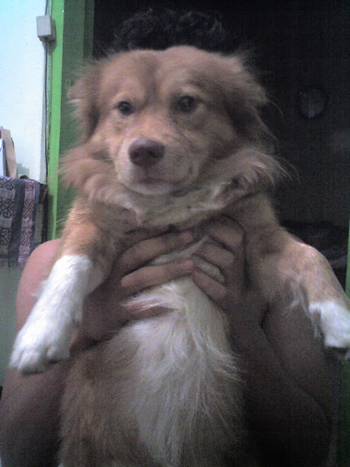 My Poo
